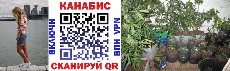 Канабис SATIVA & INDICA  купить наркотик  блэк спрут tor  Дальнереченск 